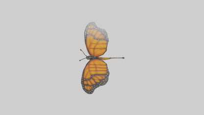 Monarch Butterfly flying model 3D model