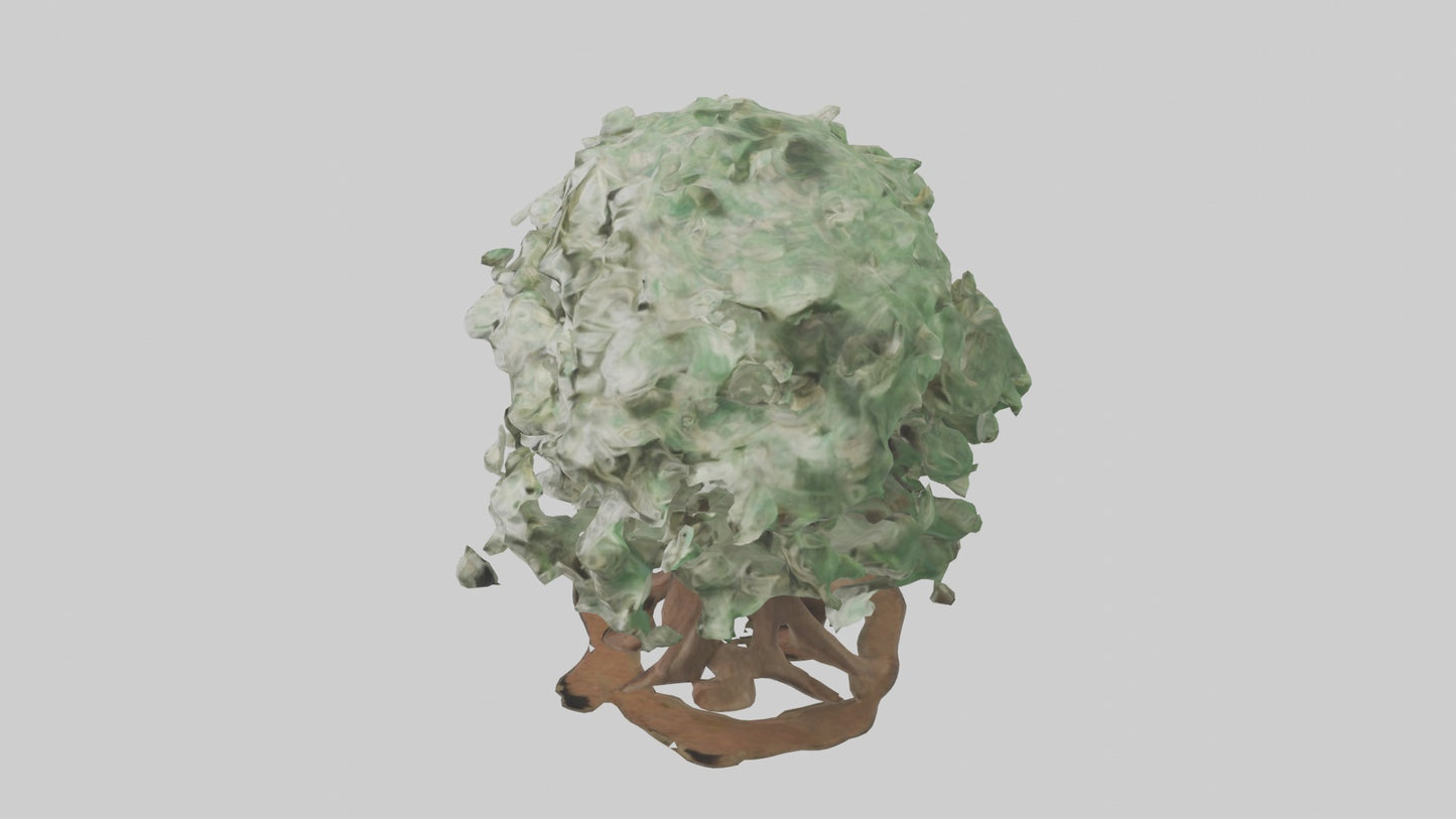 3D model Money Tree Model VR / AR / low-poly