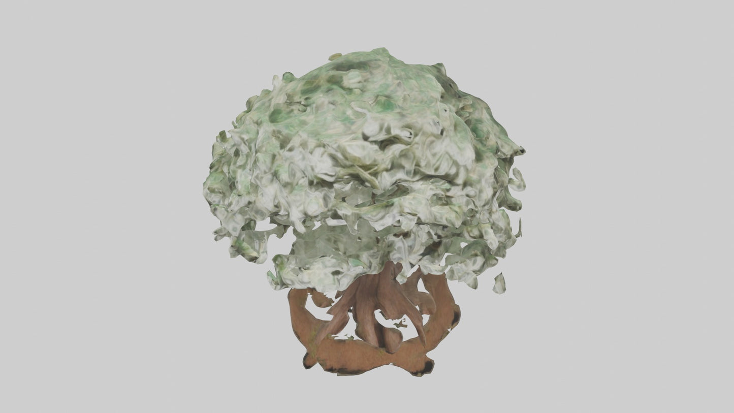3D model Money Tree Model VR / AR / low-poly