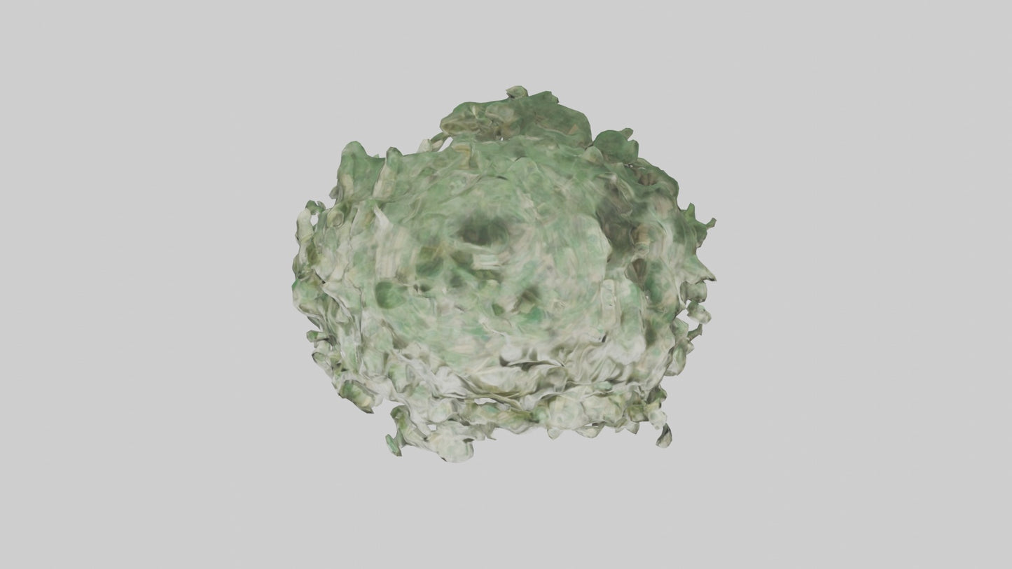 3D model Money Tree Model VR / AR / low-poly