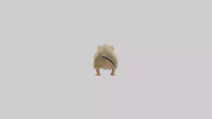 Mongolian Gerbil running model 3D model
