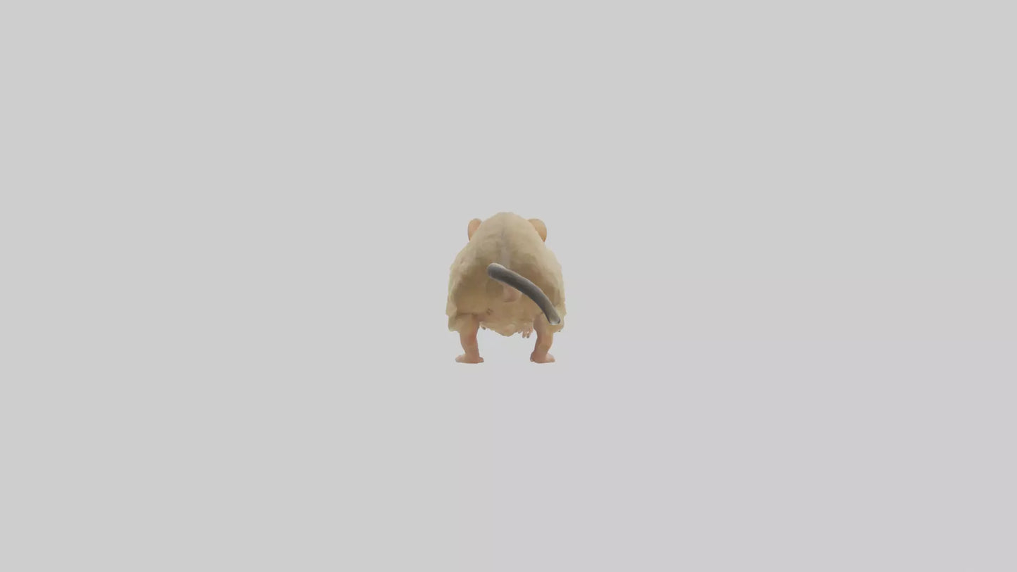 Mongolian Gerbil running model 3D model