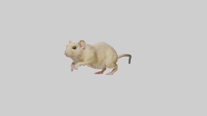 Mongolian Gerbil running model 3D model
