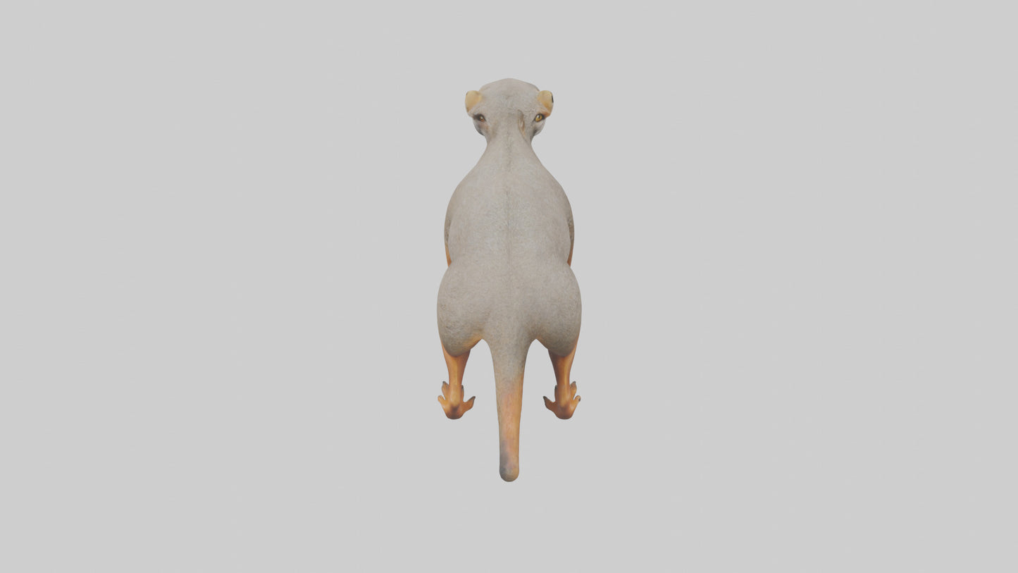 Mongoose hunting model 3D model