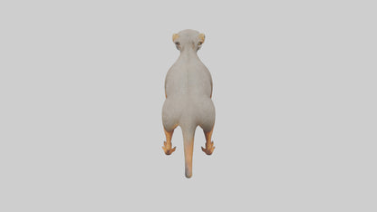 Mongoose hunting model 3D model