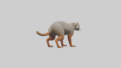 Mongoose hunting model 3D model