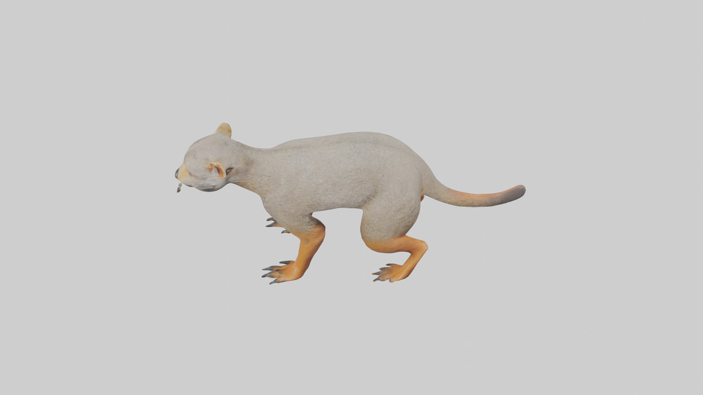 Mongoose hunting model 3D model