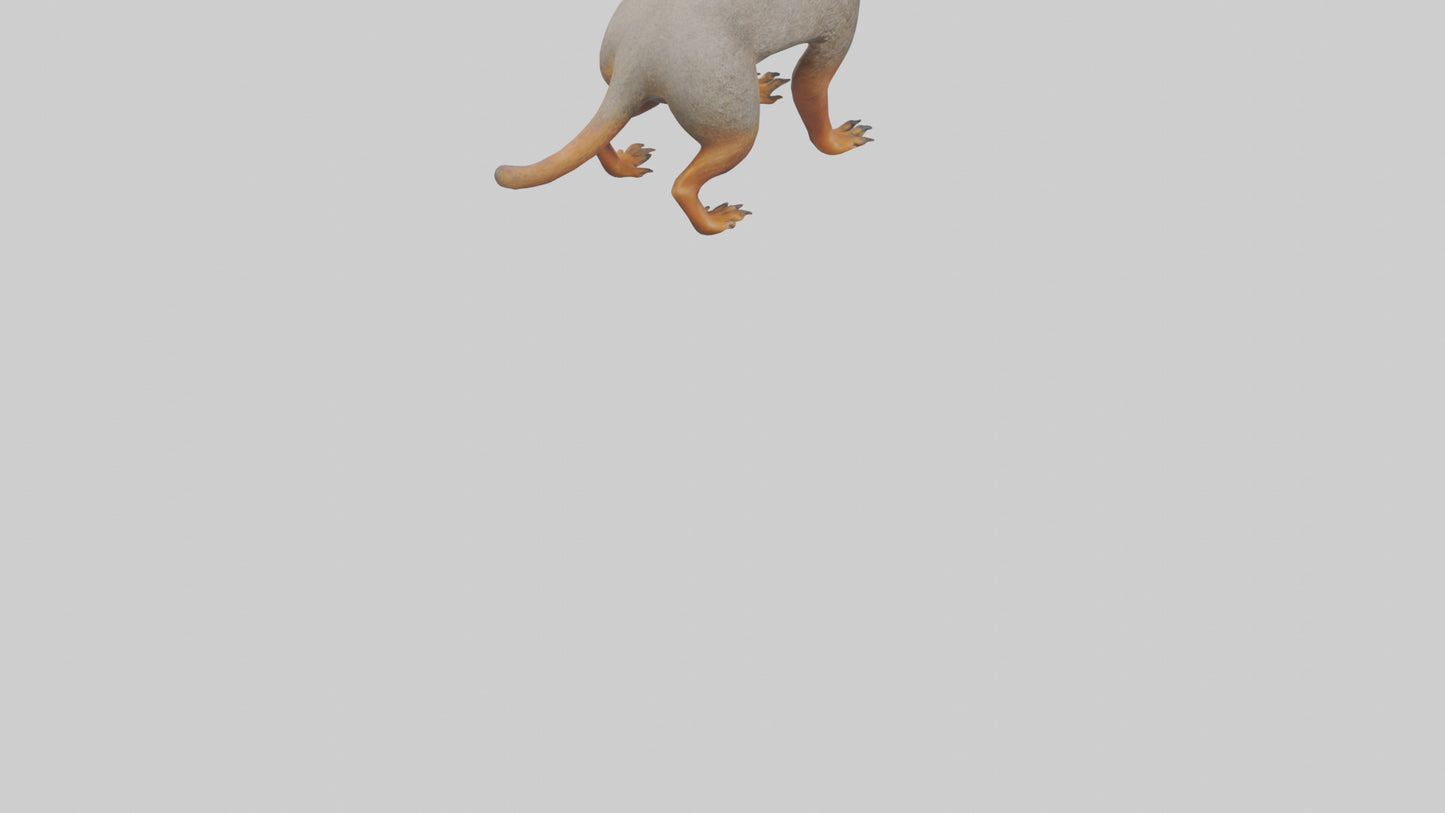 Mongoose hunting model 3D model