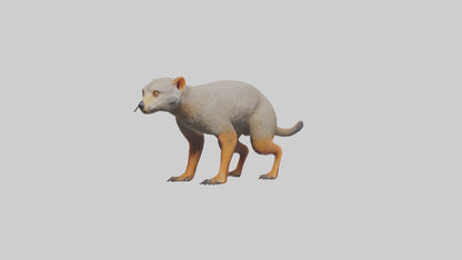 Mongoose hunting model 3D model