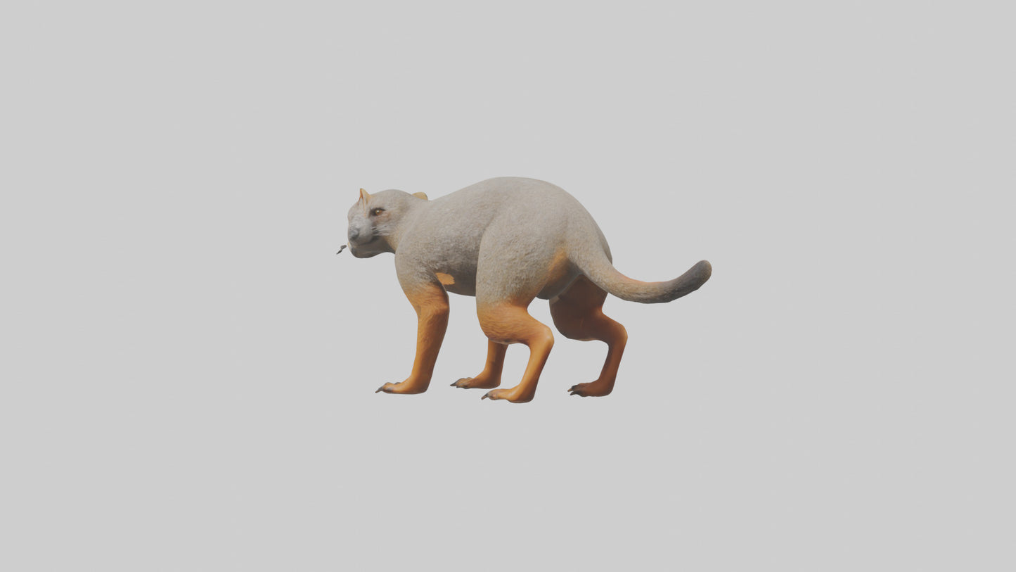 Mongoose hunting model 3D model