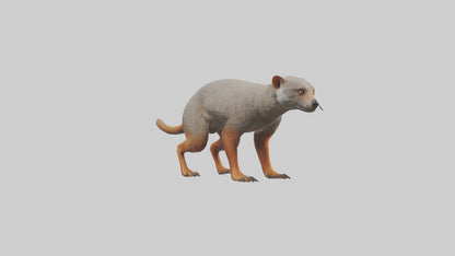 Mongoose hunting model 3D model