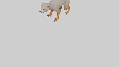 Mongoose hunting model 3D model