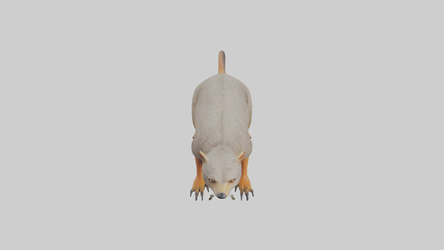 Mongoose hunting model 3D model