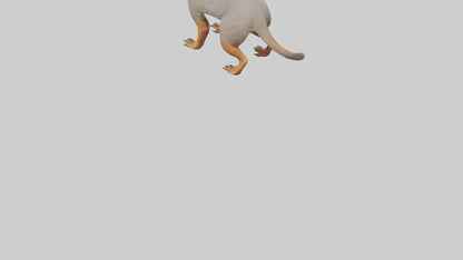 Mongoose hunting model 3D model