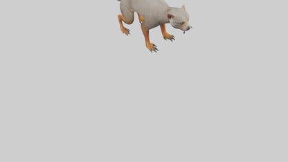 Mongoose hunting model 3D model