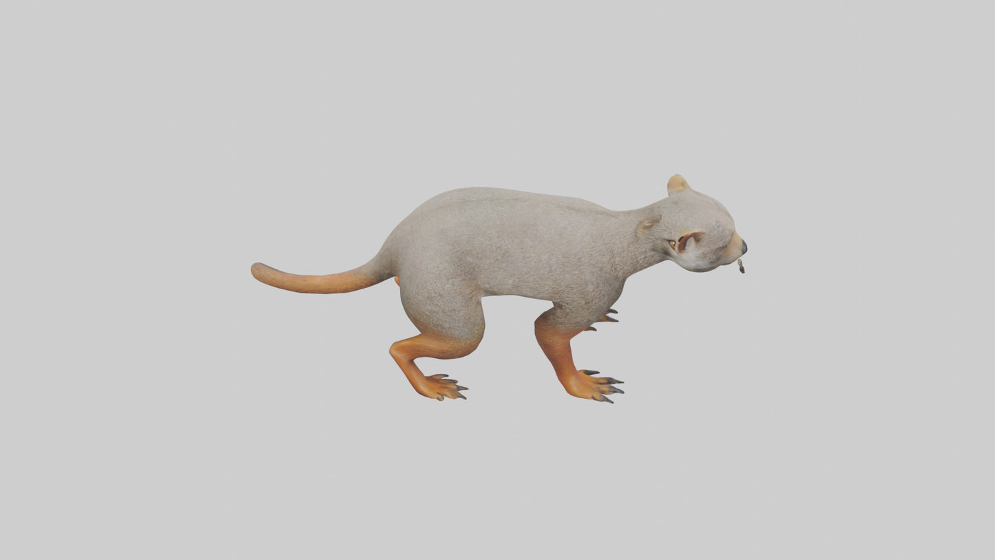 Mongoose hunting model 3D model