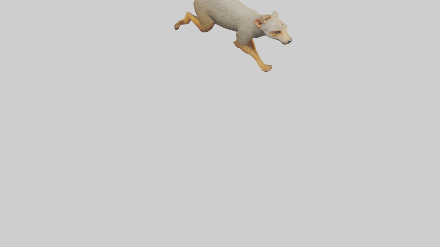 3D model Mongoose running model VR / AR / low-poly