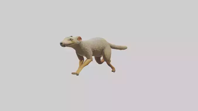 3D model Mongoose running model VR / AR / low-poly