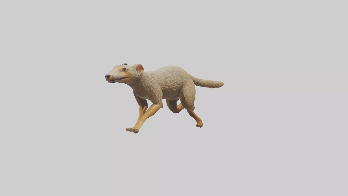3D model Mongoose running model VR / AR / low-poly