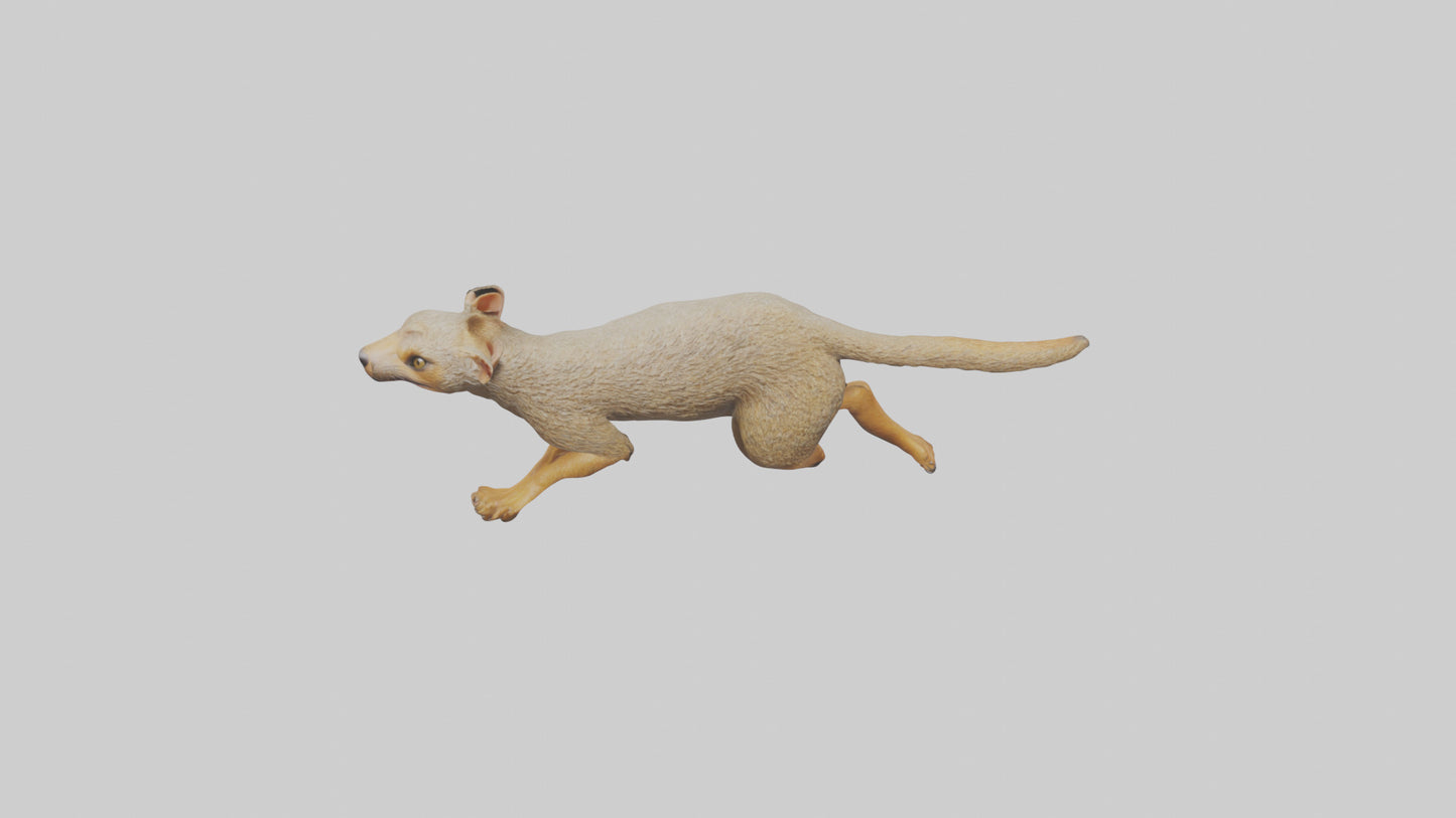 3D model Mongoose running model VR / AR / low-poly
