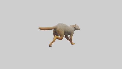3D model Mongoose running model VR / AR / low-poly