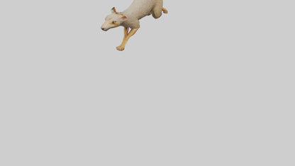 3D model Mongoose running model VR / AR / low-poly