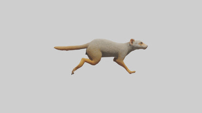 3D model Mongoose running model VR / AR / low-poly