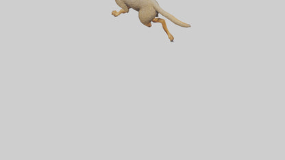 3D model Mongoose running model VR / AR / low-poly