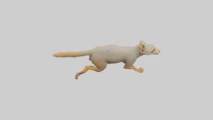 3D model Mongoose running model VR / AR / low-poly
