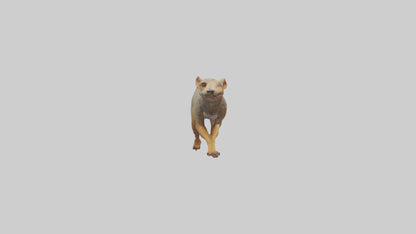 3D model Mongoose running model VR / AR / low-poly