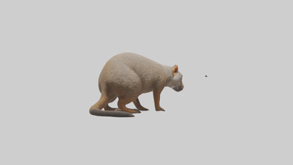 Mongoose sniffing for prey model 3D model