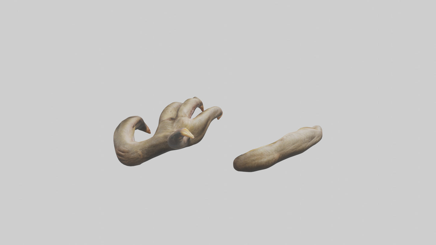 3D model Monkey Claws VR / AR / low-poly
