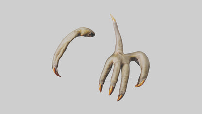 3D model Monkey Claws VR / AR / low-poly