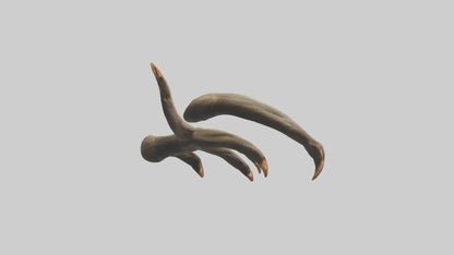 3D model Monkey Claws VR / AR / low-poly
