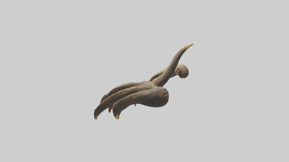 3D model Monkey Claws VR / AR / low-poly