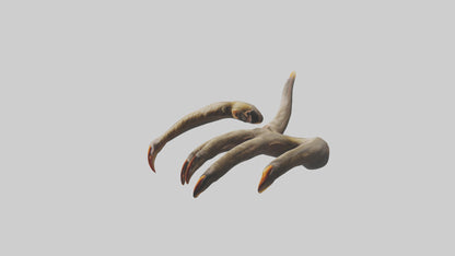 3D model Monkey Claws VR / AR / low-poly