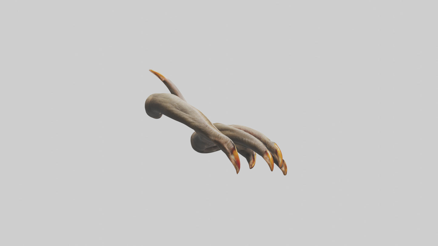 3D model Monkey Claws VR / AR / low-poly