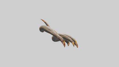 3D model Monkey Claws VR / AR / low-poly