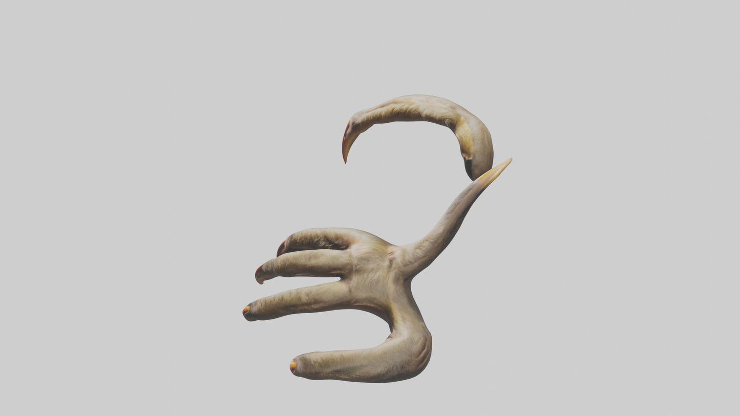 3D model Monkey Claws VR / AR / low-poly