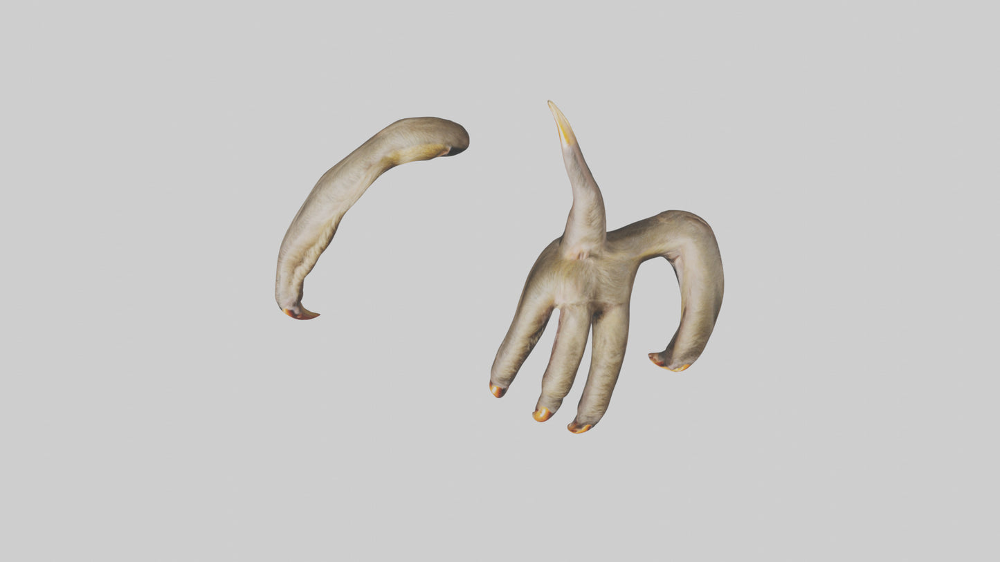 3D model Monkey Claws VR / AR / low-poly
