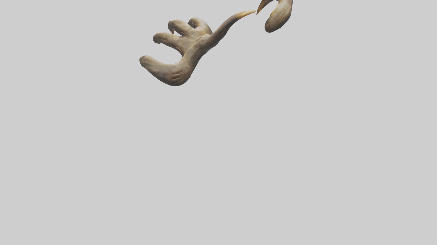 3D model Monkey Claws VR / AR / low-poly