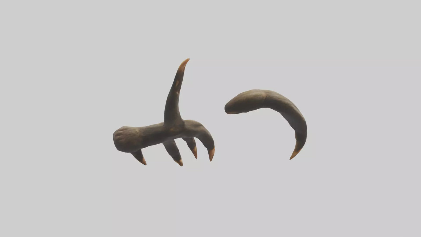 3D model Monkey Claws VR / AR / low-poly