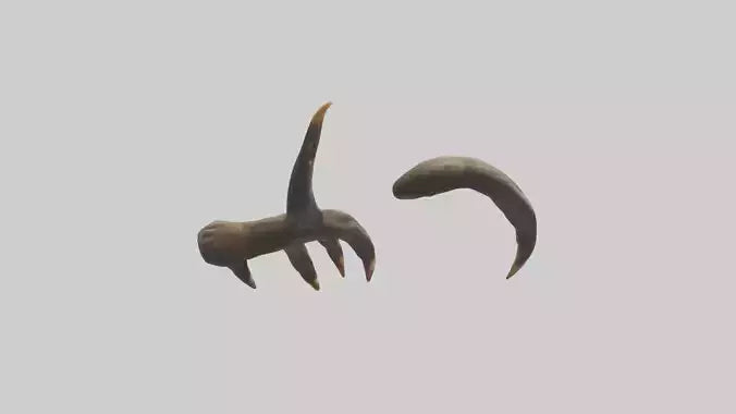 3D model Monkey Claws VR / AR / low-poly