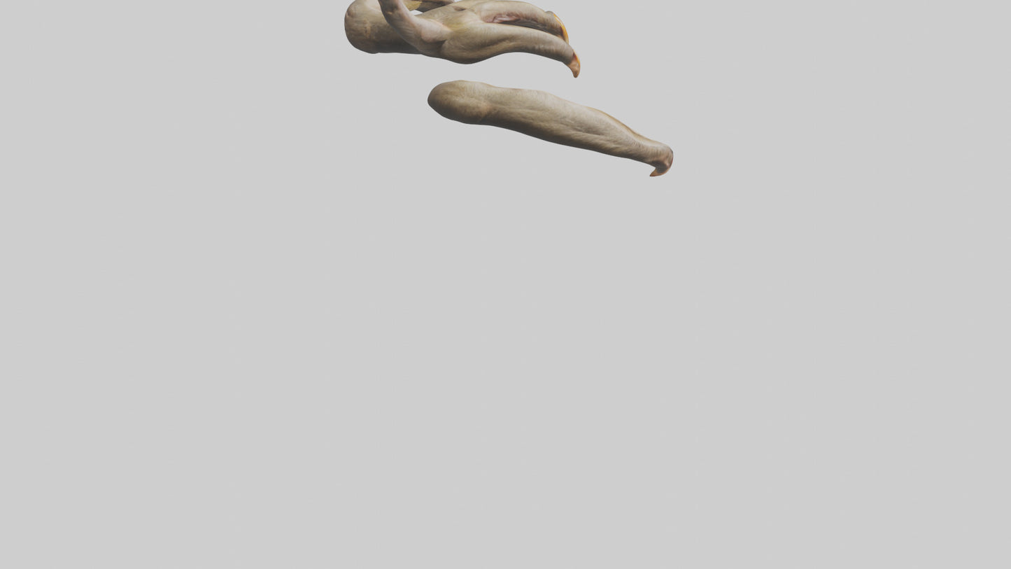 3D model Monkey Claws VR / AR / low-poly