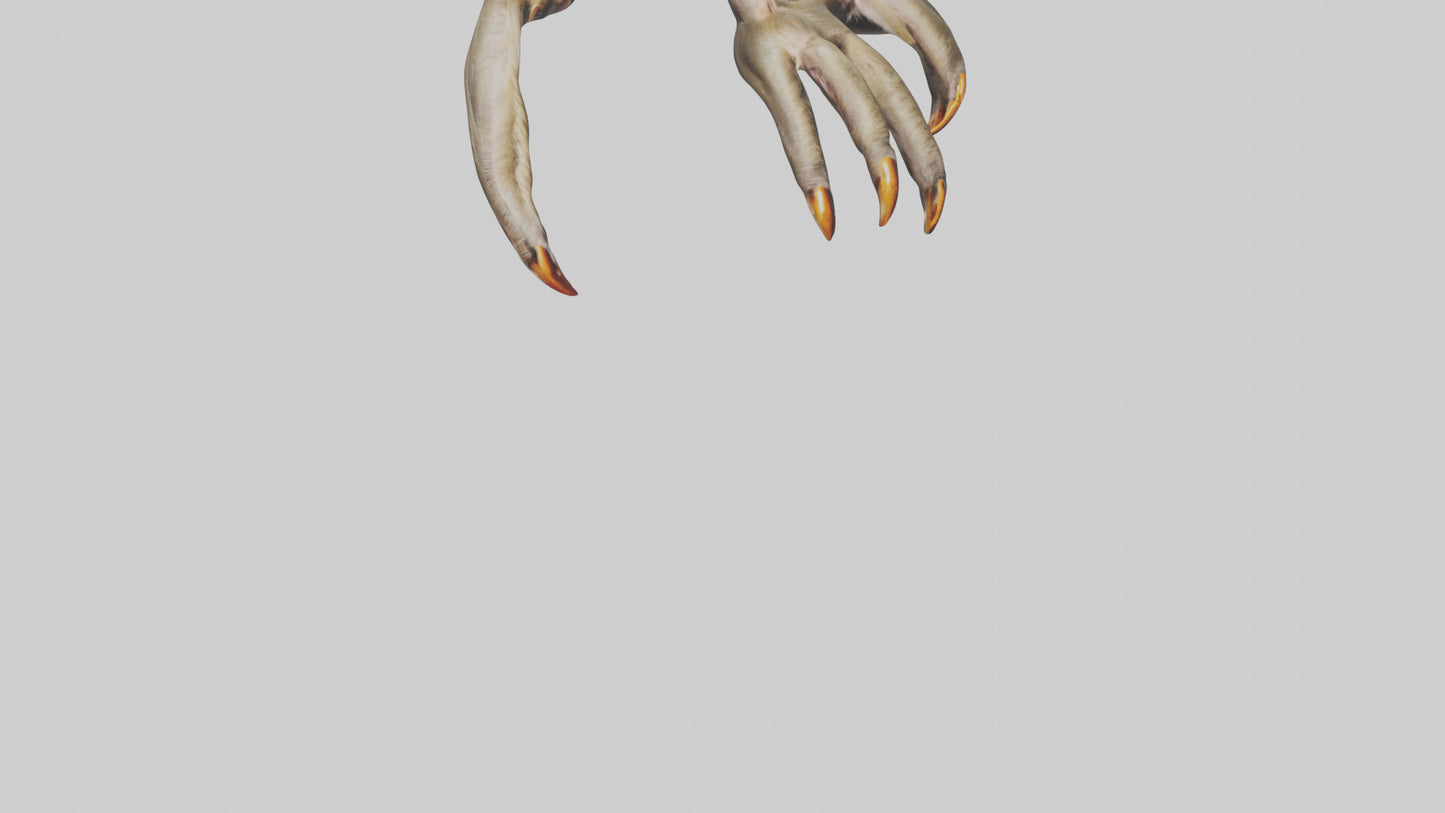 3D model Monkey Claws VR / AR / low-poly