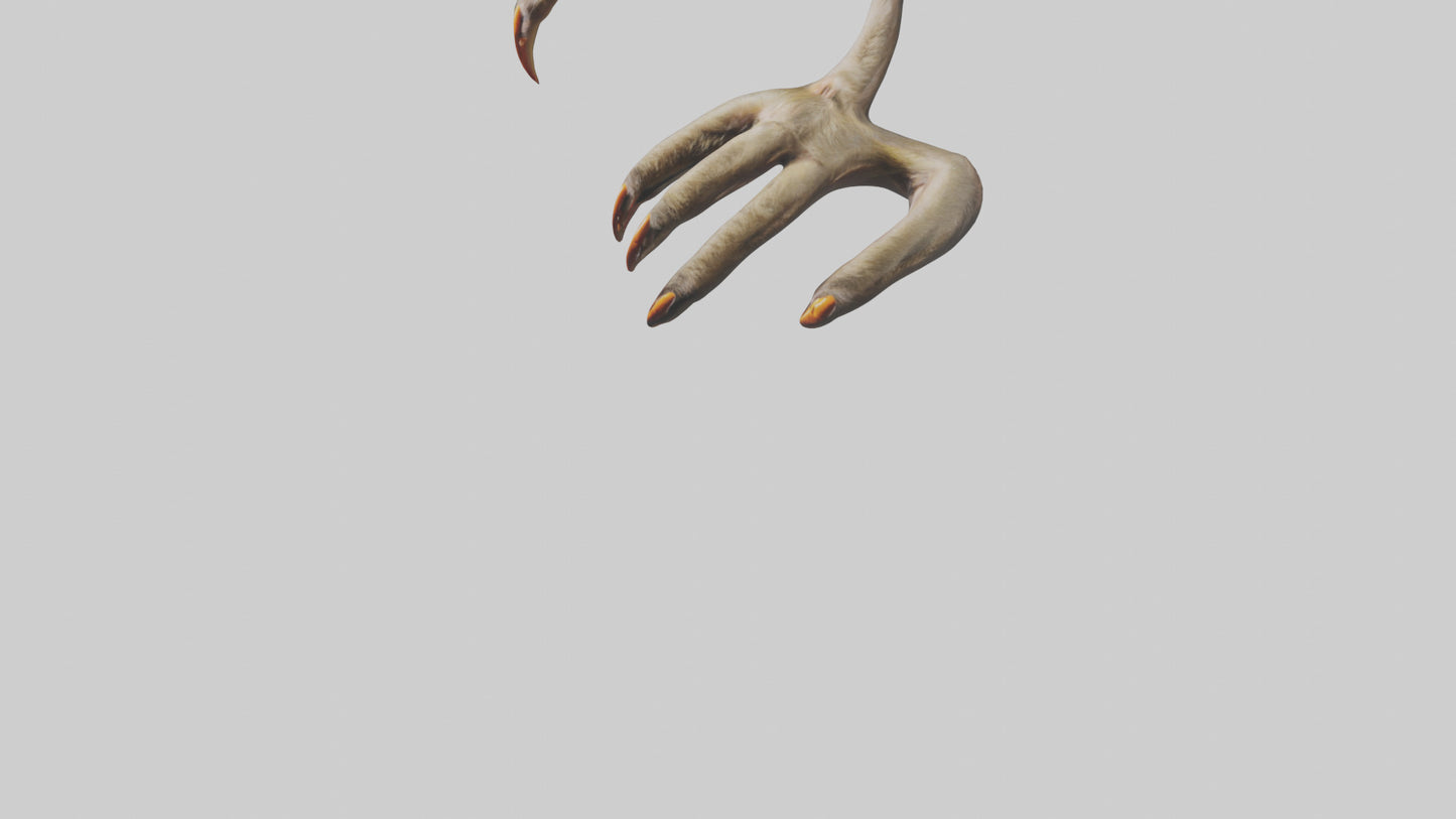 3D model Monkey Claws VR / AR / low-poly