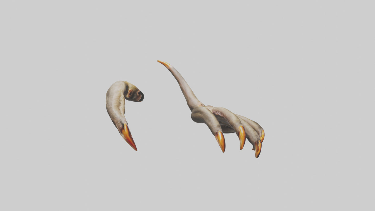 3D model Monkey Claws VR / AR / low-poly