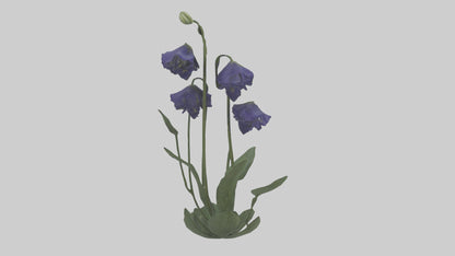 Monkshood model 3D model