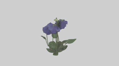 Monkshood model 3D model