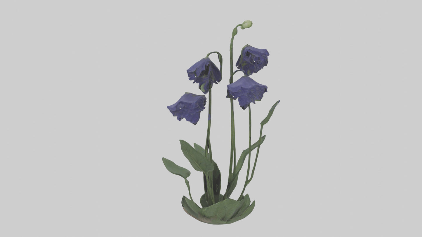 Monkshood model 3D model